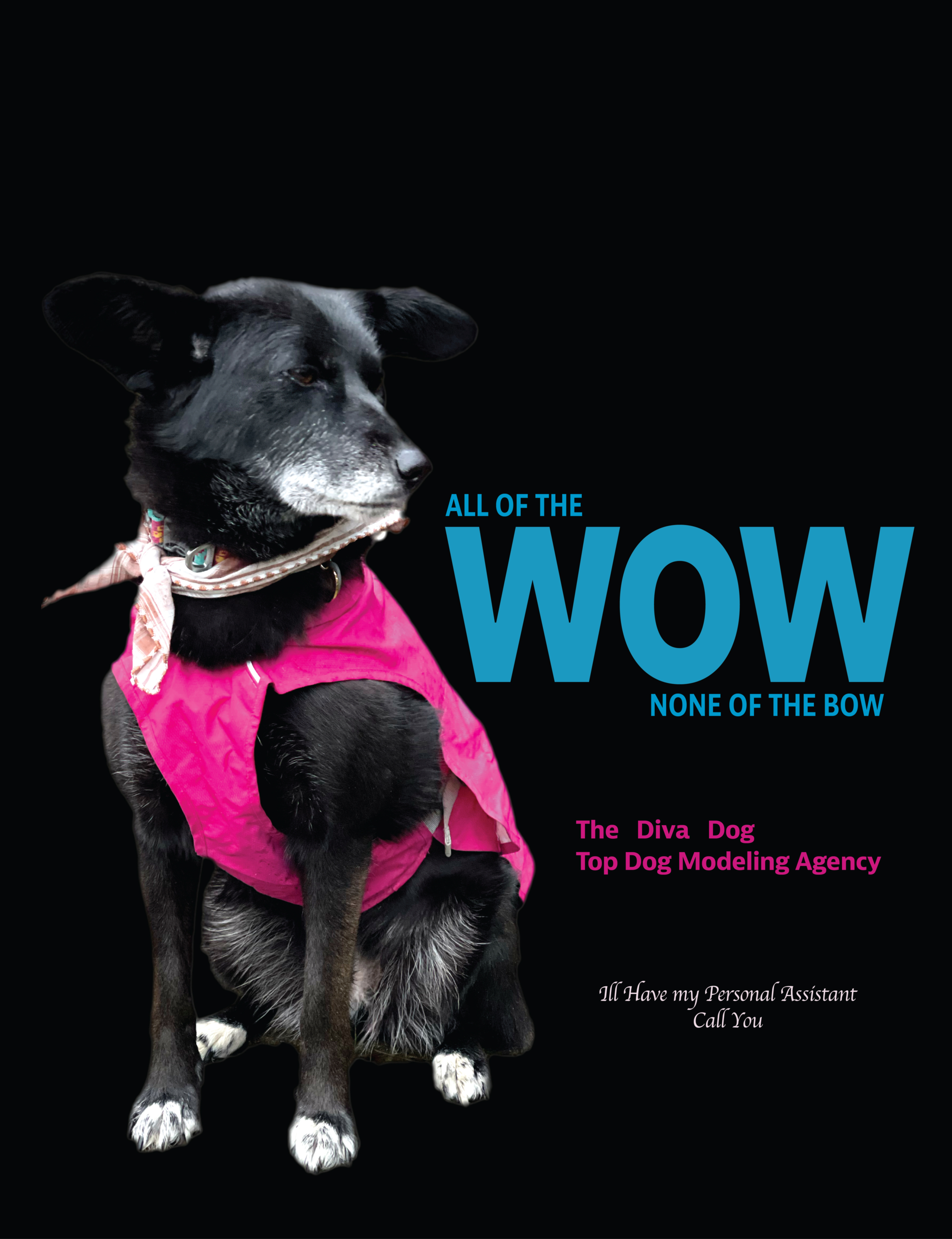 Poster of Revna, Alaska's Outdoor Diva Dog, that says "All of the WOW none of the bow; The Diva Dog Top Dog Modeling Agency - I'll have my personal assistant call you. "