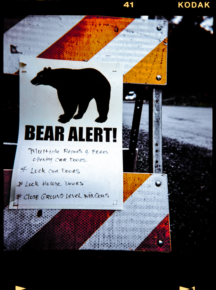 Warning sign about bears.