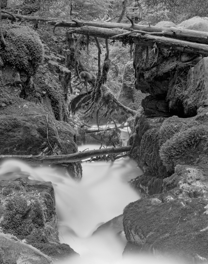 A black and white image of a creek rushing through the Chugach rainforest.