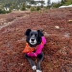 Revna in the tundra with a snowy foothill the background. She is wearing an orange batik scarf and a pink raincoat.