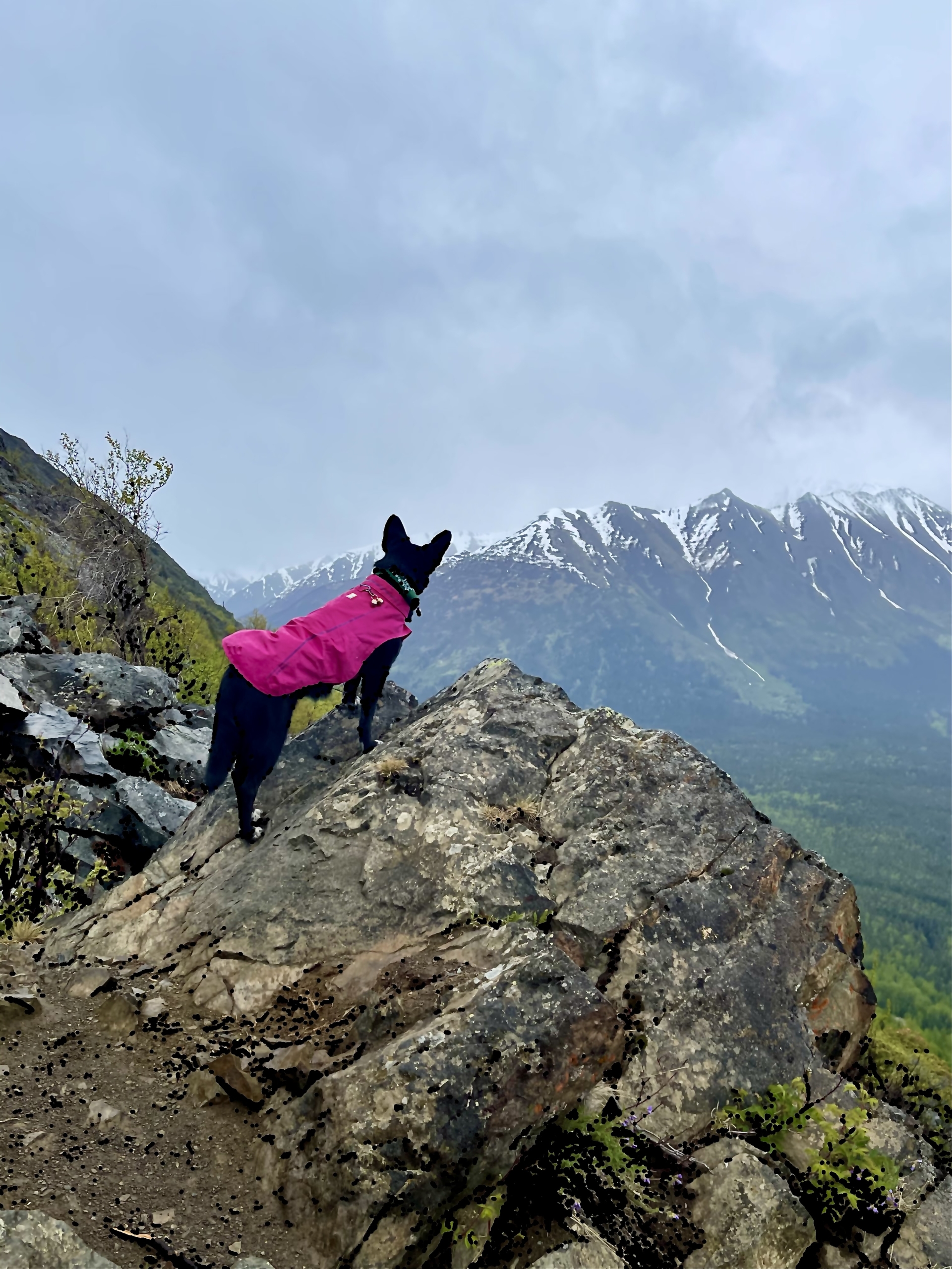 Revna in her pink raincoat looking out over a mountain valley from atop a large rock.