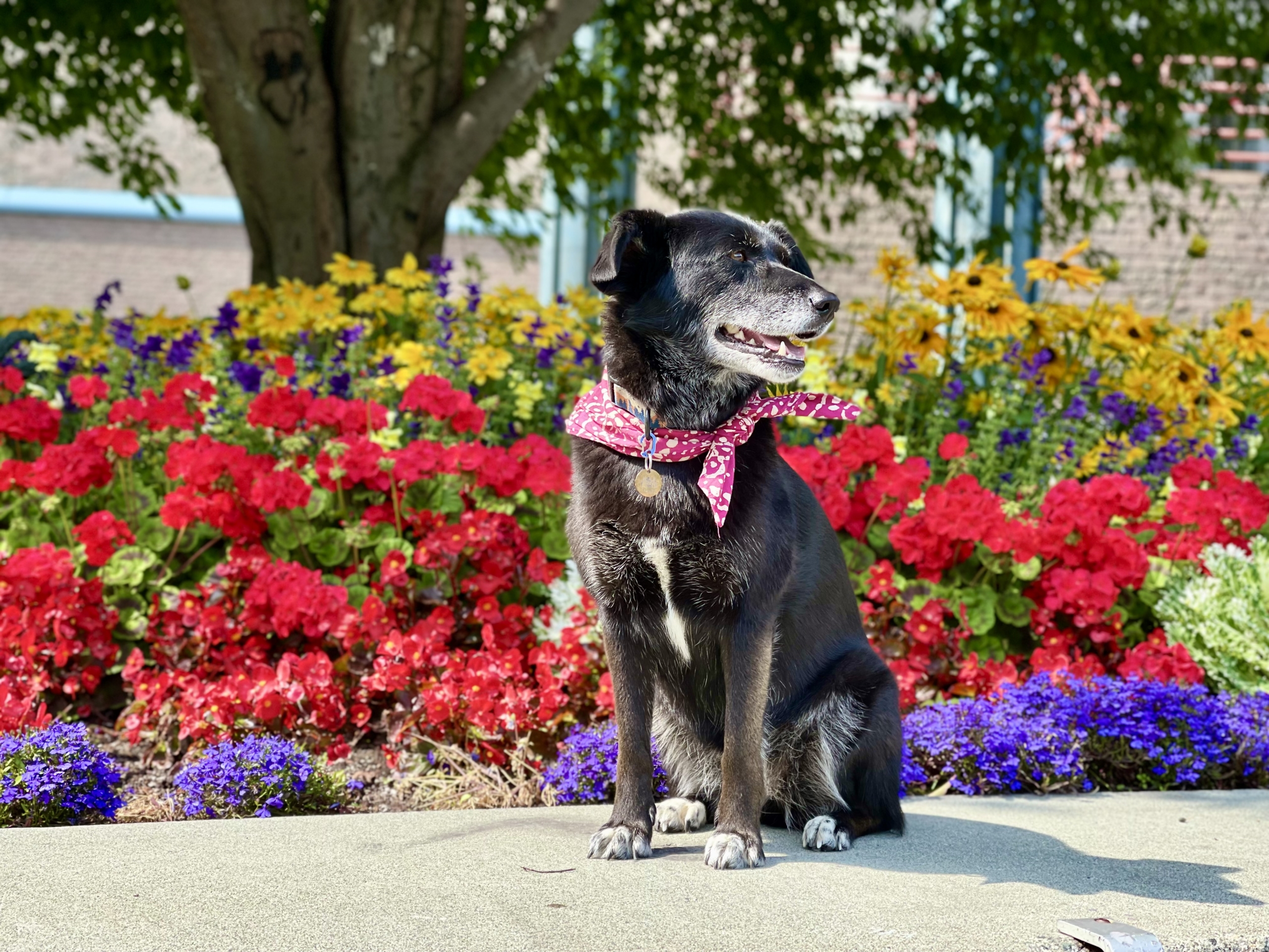 Revna posing in front of flowers wearing a pink scarf.