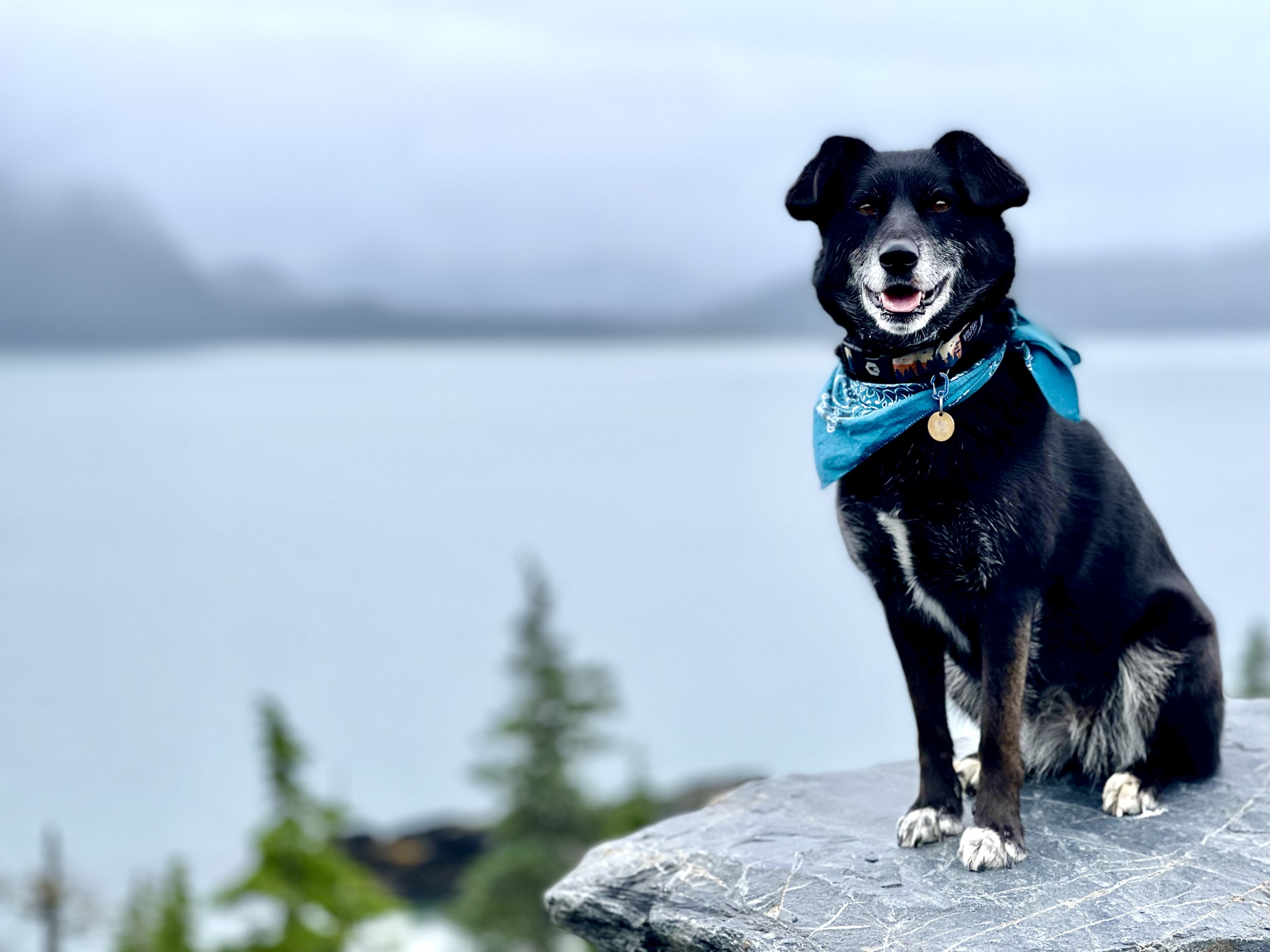 Revna sitting on a rock overlooking the ocean smiling back at the camera in a turquoise scarf.