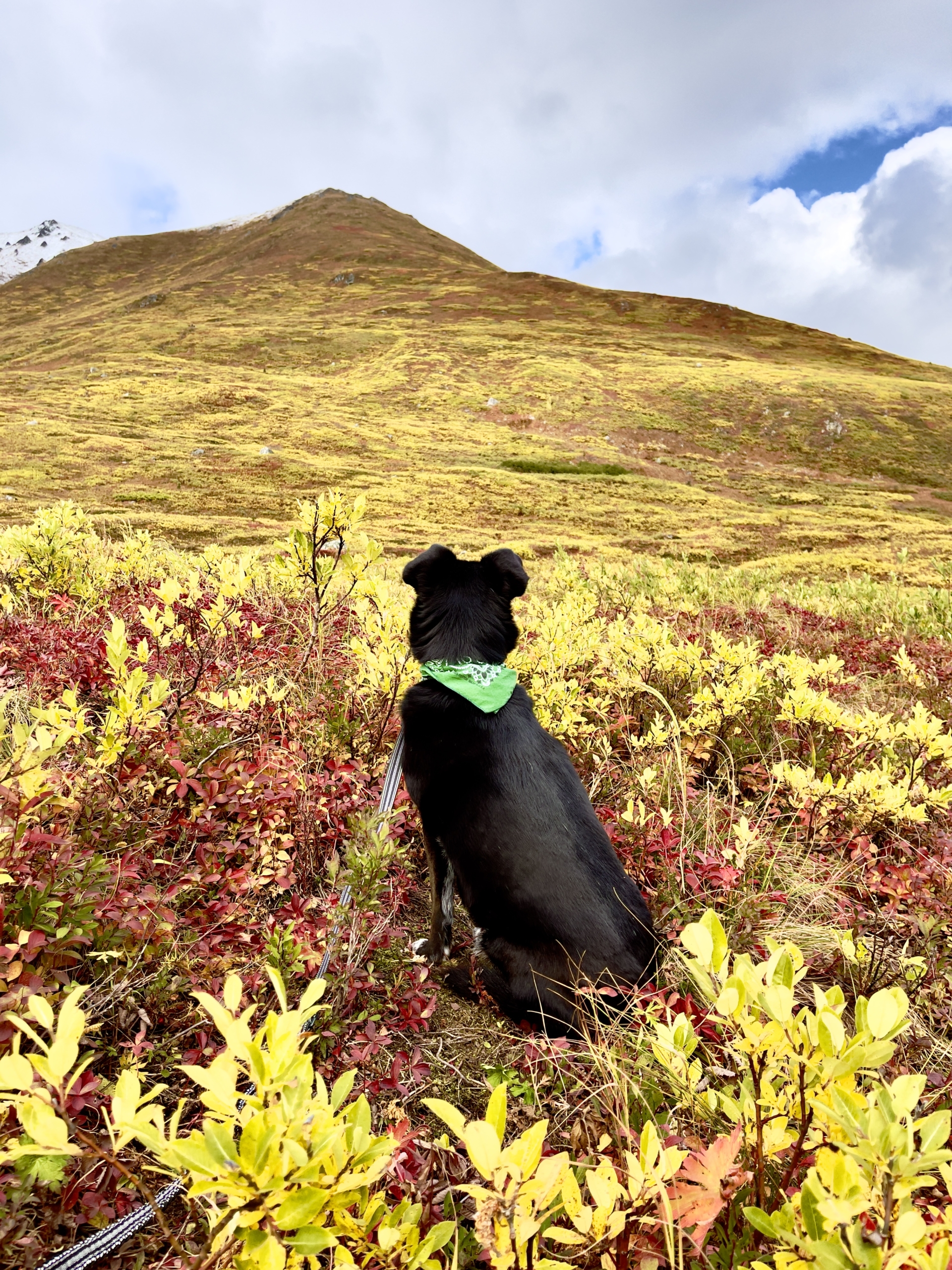 Revna looking out across the tundra the the mountains.