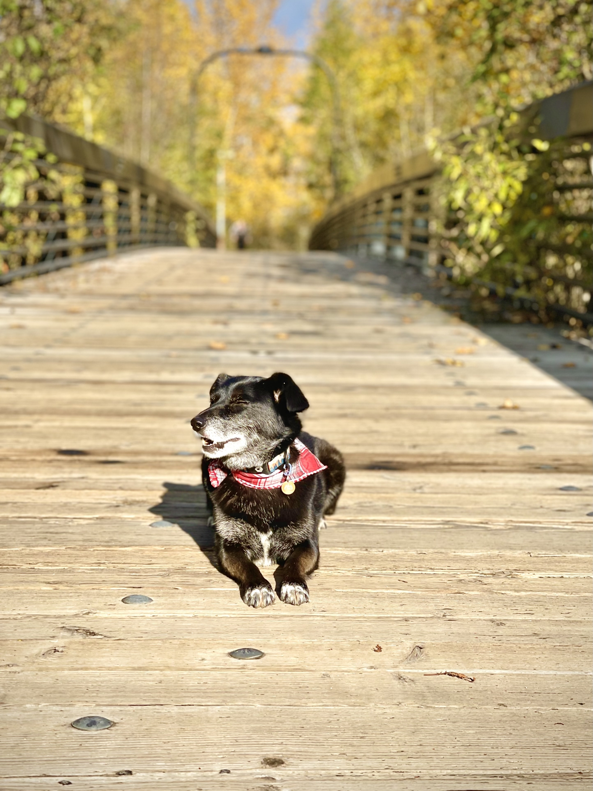 Revna posing on bridge smiling in the summer sun